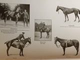 Die ersten 100 Jahre des Ulanen-Regiments König Wilhelm I. (2. Württemb.) Nr.20.