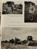 Die 137. Infanteriedivision im Mittelabschnitt der Ostfront