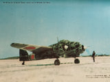 THE JAPANESE ARMY WINGS OF THE SECOND WORLD WAR.