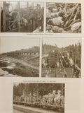 Der Weg der 163. Infanterie-Division - Von Potsdam zum Polarkreis und zurück - Bildband -