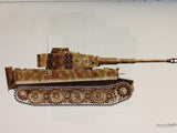 Tiger of the Totenkopf Division