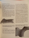 The Big Firearms Workbook