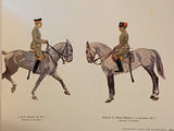 Germany's army in field-gray war and peace uniforms. Reprint of the 1916 PM Weber edition.