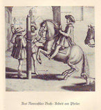 Das neue Reiterbuch. Reitkunst und Reitkultur in Vergangenheit und Gegenwart.
