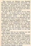 Under fluttering flags. Third volume. Andreas Fischer: The naval battle off the Jutland.