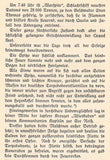 Under fluttering flags. Third volume. Andreas Fischer: The naval battle off the Jutland.