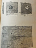 Internatione Revue über die gesammten Armeen und Flotten. Zweiter Jahrgang-Zweiter Band (Januar-März 1884)