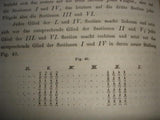 Geschichte der Infanterie. Band 1+2 in einem Band gebunden. So komplett!