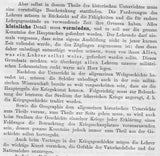 Die Kernfragen bei der Reorganisierung unseres militärischen Erziehungs- und Unterrichtswesens.