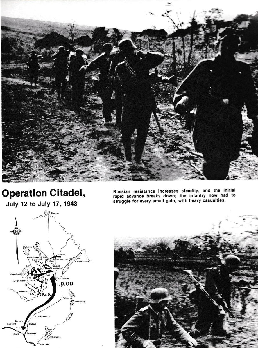 Panzer Grenadier Division Grossdeutschland. The Panzer Grenadier Divis