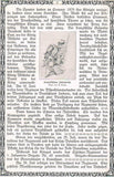 Geschichte des Kgl.-Sächs. Schützen-Regiments Prinz Georg No 108