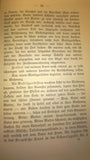 Erlebnisse in den Tagen der Oktober-Revolution des Jahres 1848.