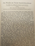 Military Scientific Reports 1932. 63rd year. One of the most comprehensive special source literature on the battles of the German/Austro-Hungarian troops in the mountain battles of the First World War