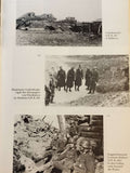 Das Grüne Regiment. Der Weg der 256.Infanterie-Division aus der Sicht des Regimentes 481