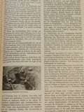 Die Geschichte der 5. Panzerdivision 1938 bis 1945