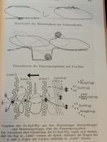 Heigl's Taschenbuch der Tanks Teil I bis III + Ergänzungsband, so komplett!