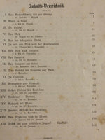 Mit den Schwarzen nach Frankreich hinein! Erinnerungen eines braunschweigischen Officiers aus dem Kriege 1870/71.