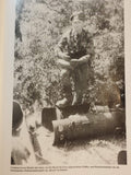A look back to the Eifel. The fate of the 89th Infantry Division