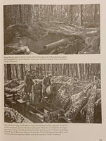 Die Marinegeschütze des Westwalls am Oberrhein