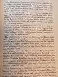 Rollbahn in die Hölle. Der wandernde Kessel von Tscherkassy-Korsun.
