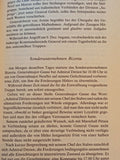 Endkampf in Afrika - Der Opfergang der Heeresgruppe Rommel in Tunesien 1942/43