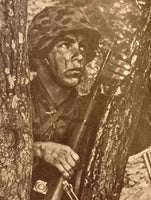 Waffen-SS im Westen. Blitzkrieg 1940