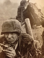 Waffen-SS im Westen. Blitzkrieg 1940