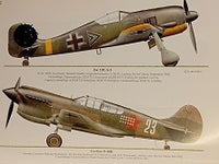 Black Cross/Red Star: Vol. 3: Air War Over the Eastern Front. Everything for Stalingrad.