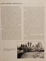 Black Cross/Red Star: Vol. 3: Air War Over the Eastern Front. Everything for Stalingrad.