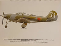 Black Cross/Red Star: Vol. 2: The Air War Over the Eastern Front