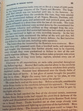 Russian Combat Methods in World War II