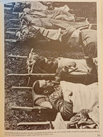 Death's Head: Combat Record of the SS Totenkopf Division in France 1940