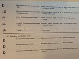 German Military Symbols: 1 April 1944. Reprint_!