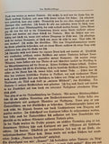 Das Antlitz des Weltkrieges. Fronterlebnisse deutscher Soldaten.