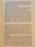 The Lion of Brzeziny