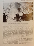 Moscow to Stalingrad: Decision in the East