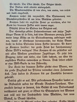 Jagdstaffel 356 - Eine deutsche Fliegergruppe im letzten Weltkriegsjahr