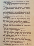 Jagdstaffel 356 - Eine deutsche Fliegergruppe im letzten Weltkriegsjahr