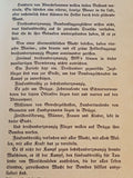 Jagdstaffel 356 - Eine deutsche Fliegergruppe im letzten Weltkriegsjahr