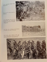 Col di Lana: Calvary of three armies, retold from military history documents and personal notes