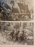 Gebirgsjäger im Bild 6.SS Gebirgsdivision Nord 1940-1945