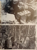 Gebirgsjäger im Bild 6.SS Gebirgsdivision Nord 1940-1945