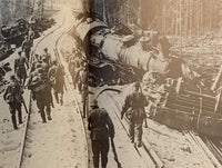 Gebirgsjäger im Bild 6.SS Gebirgsdivision Nord 1940-1945