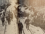 Gebirgsjäger im Bild 6.SS Gebirgsdivision Nord 1940-1945