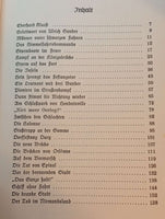 Männer unter schwarzen Fahnen. Pioniere im Großdeutschen Freiheitskampf.