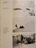History of the Grenadier Regiment 315 of the Bavarian 167th Infantry Division - Almhütten Division - 1939-1944