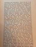 The Tyrolean Rebellion of 1809, Memoirs of Father Josef Daney