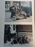 Brief overview of the Polish Army