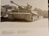 DER TIGER. Volume 1 : Schwere Panzerabteilung 501
