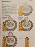 Dienst- und Rangabzeichen der offiziere und Beamte der Königlich Bayerischen Armee 1806 bis 1918